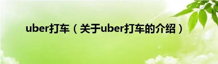 uber打车（关于uber打车的介绍）