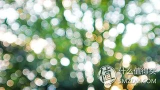 谢谢你陪我走过那段路  Panasonic  松下  Lumix  LX2  数码相机