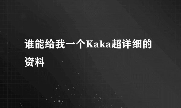 谁能给我一个Kaka超详细的资料