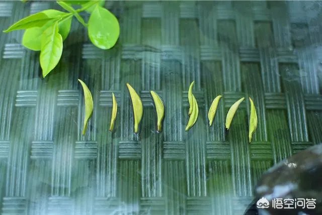 信阳毛尖如何保存？