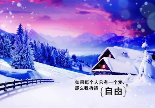 黎浅陆天擎小说名字 黎浅陆天擎免费阅读