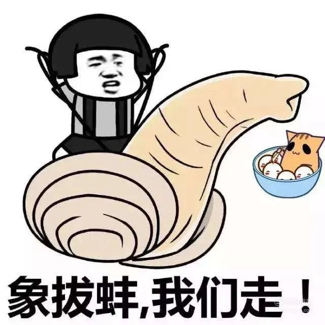 象拔蚌什么梗？