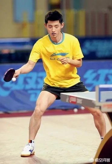 张继科为什么不选择退役？