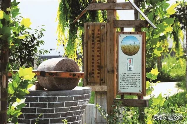 农村怎样致富？