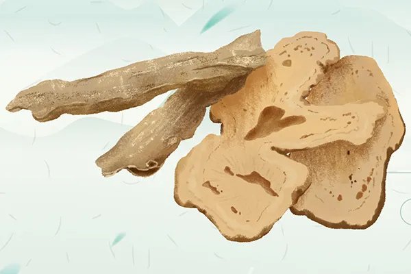 赤白芍的功效与作用