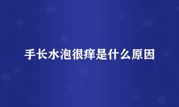 手长水泡很痒是什么原因