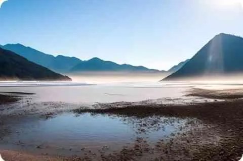 跳猴乐队简介及详细资料