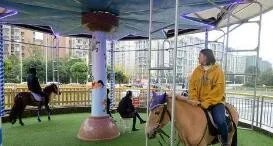 成都旋转真马游戏，乘坐旋转真马该注意哪些？