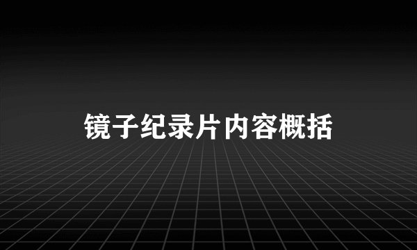 镜子纪录片内容概括