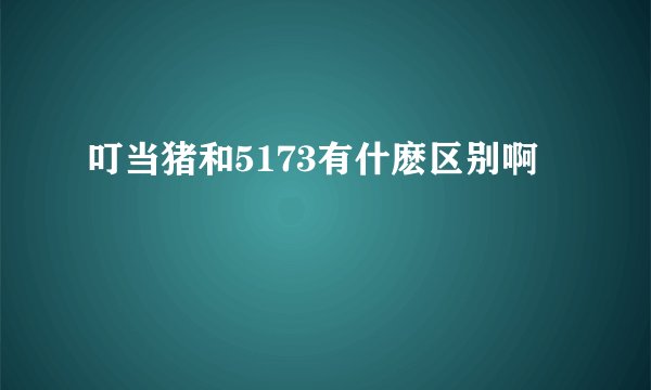 叮当猪和5173有什麽区别啊