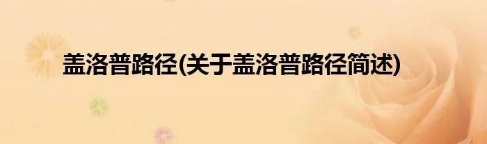 盖洛普路径(关于盖洛普路径简述)