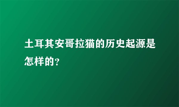土耳其安哥拉猫的历史起源是怎样的？
