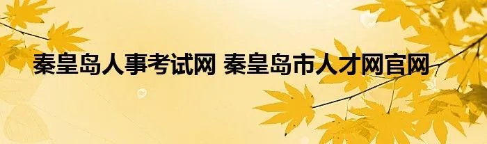 秦皇岛人事考试网 秦皇岛市人才网官网