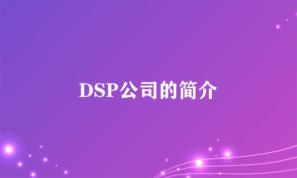 DSP公司的简介