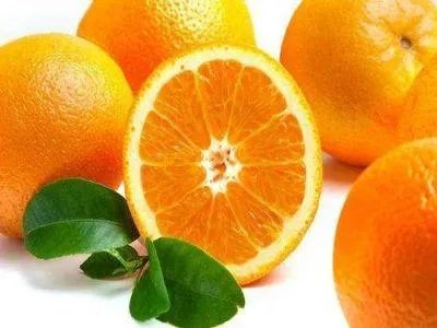 中国十大橘子产地