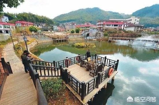 央视网评娱乐歪风