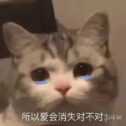 所以爱会消失对不对什么梗 所以爱会消失对不对梗出处介绍