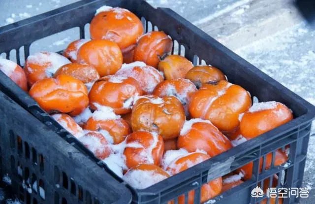 柿子的功效和吃法？