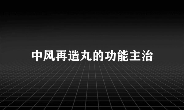 中风再造丸的功能主治