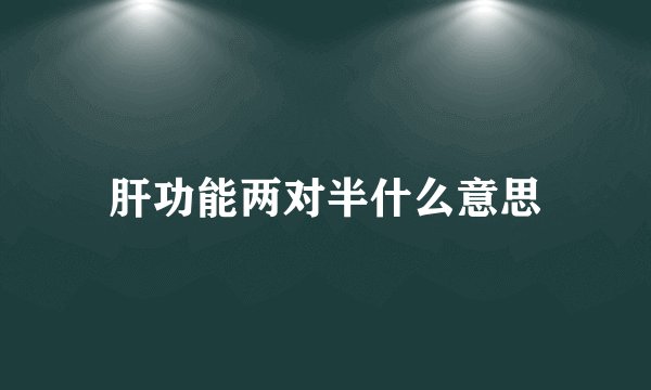 肝功能两对半什么意思
