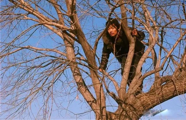 树先生解析细思极恐看了三遍 可是被这个社会逼了