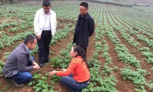 适合农村的创业项目有哪些？