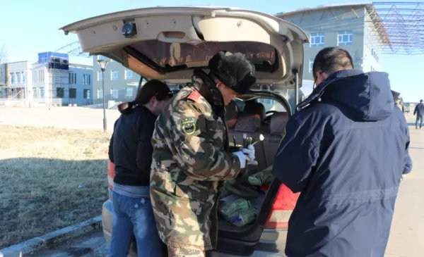 内蒙古边检站查获野生黄羊角584支是怎么回事？