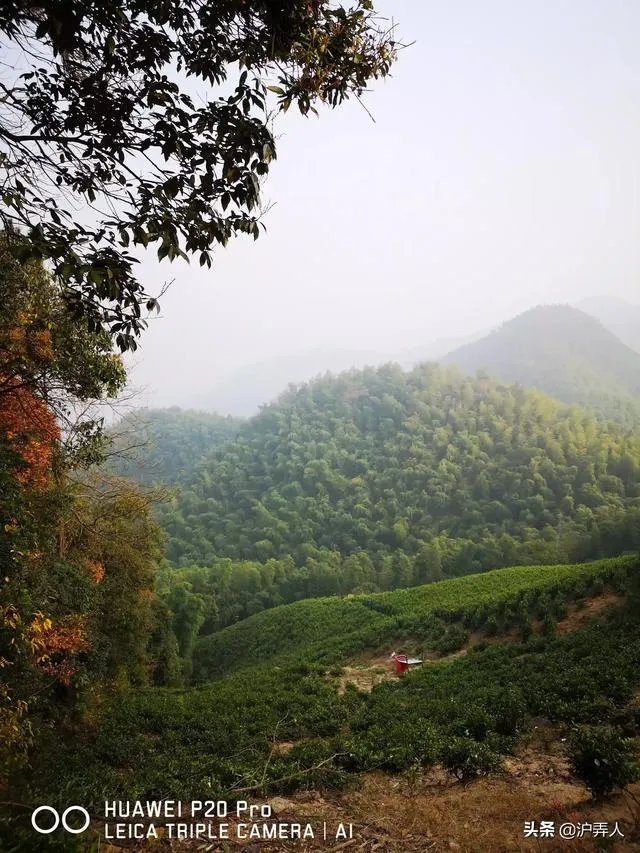 夏天去哪里旅游凉快？