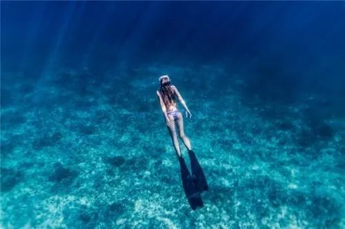 世界上真有美人鱼吗