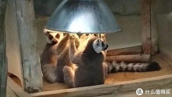 【360°全向声效是一种怎样的体验？】：Bose SoundLink Revolve 蓝牙音箱 测评