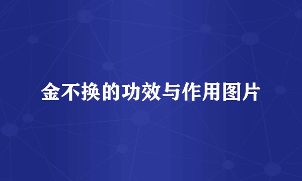 金不换的功效与作用图片