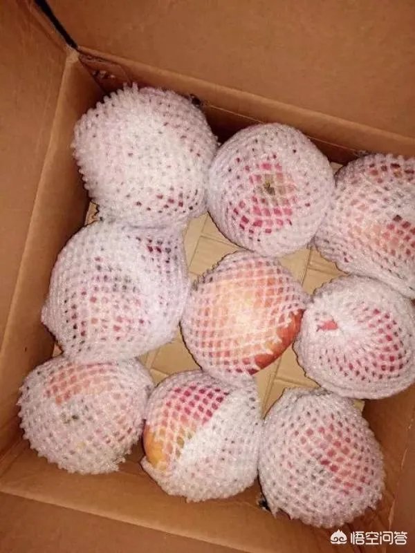 浙江青田一女子收到毒苹果快递，快递公司表示无法准确提供寄件人的信息，这事你怎么看？