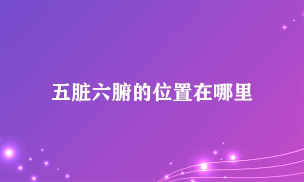 五脏六腑的位置在哪里