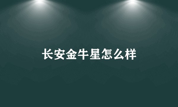 长安金牛星怎么样
