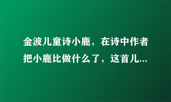 金波儿童诗小鹿，在诗中作者把小鹿比做什么了，这首儿童诗表达了作者怎样的主题？