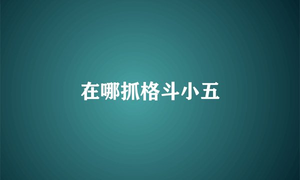 在哪抓格斗小五