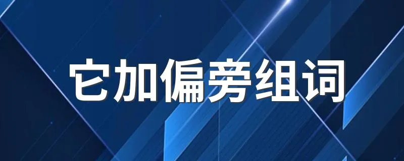 它加偏旁组词 它加偏旁可以组成什么词