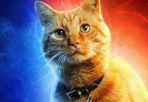 惊奇队长有几个彩蛋