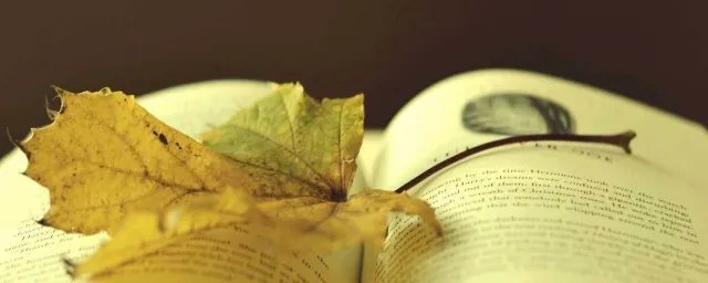 高老头简介 高老头简介描述