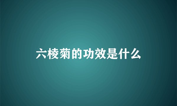 六棱菊的功效是什么