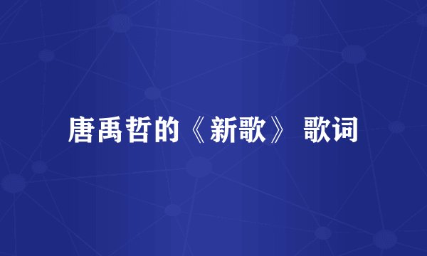 唐禹哲的《新歌》 歌词