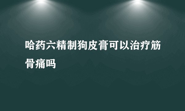哈药六精制狗皮膏可以治疗筋骨痛吗