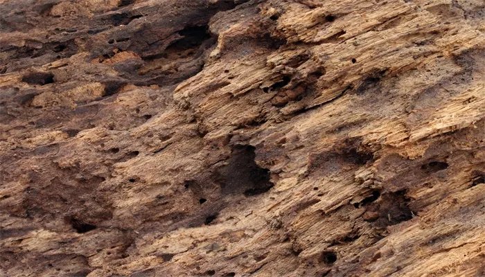 防腐木油漆怎么涂 防腐木怎么刷漆