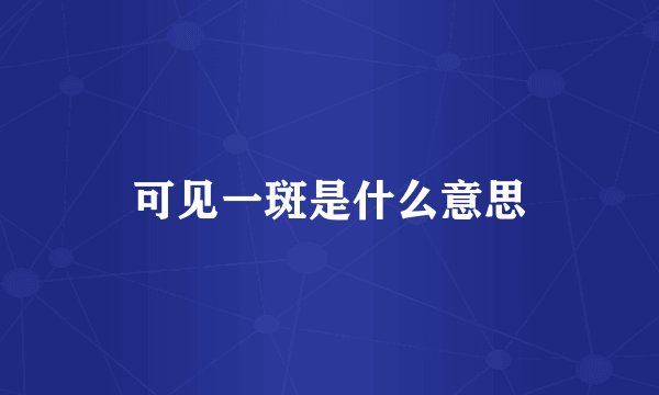 可见一斑是什么意思