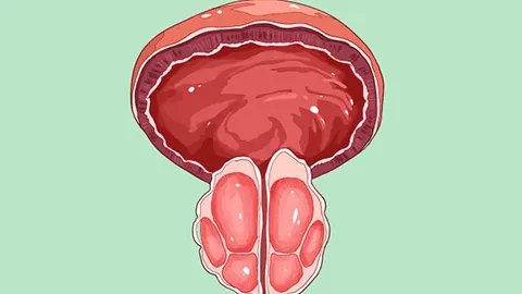解热镇痛抗炎药有哪些