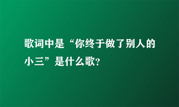 歌词中是“你终于做了别人的小三”是什么歌？