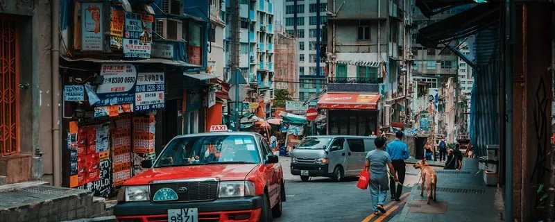 陀枪师姐第一部的演员有哪些