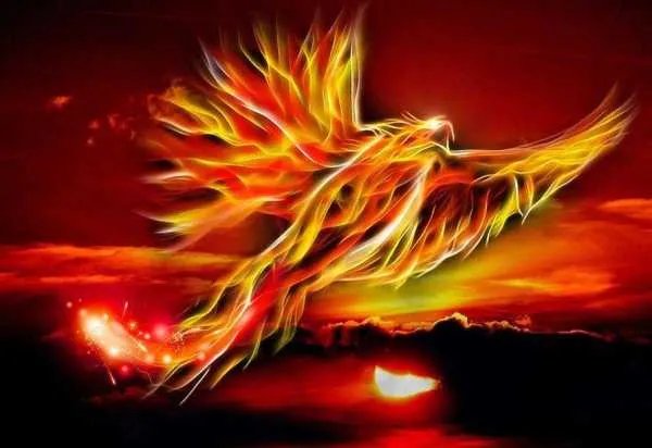 凤凰泣血代表什么含义？