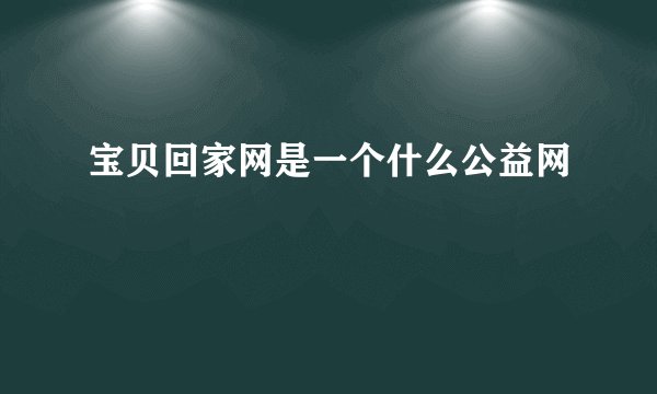 宝贝回家网是一个什么公益网