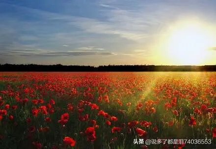 有房有车还有二十万在中国算什么层次？